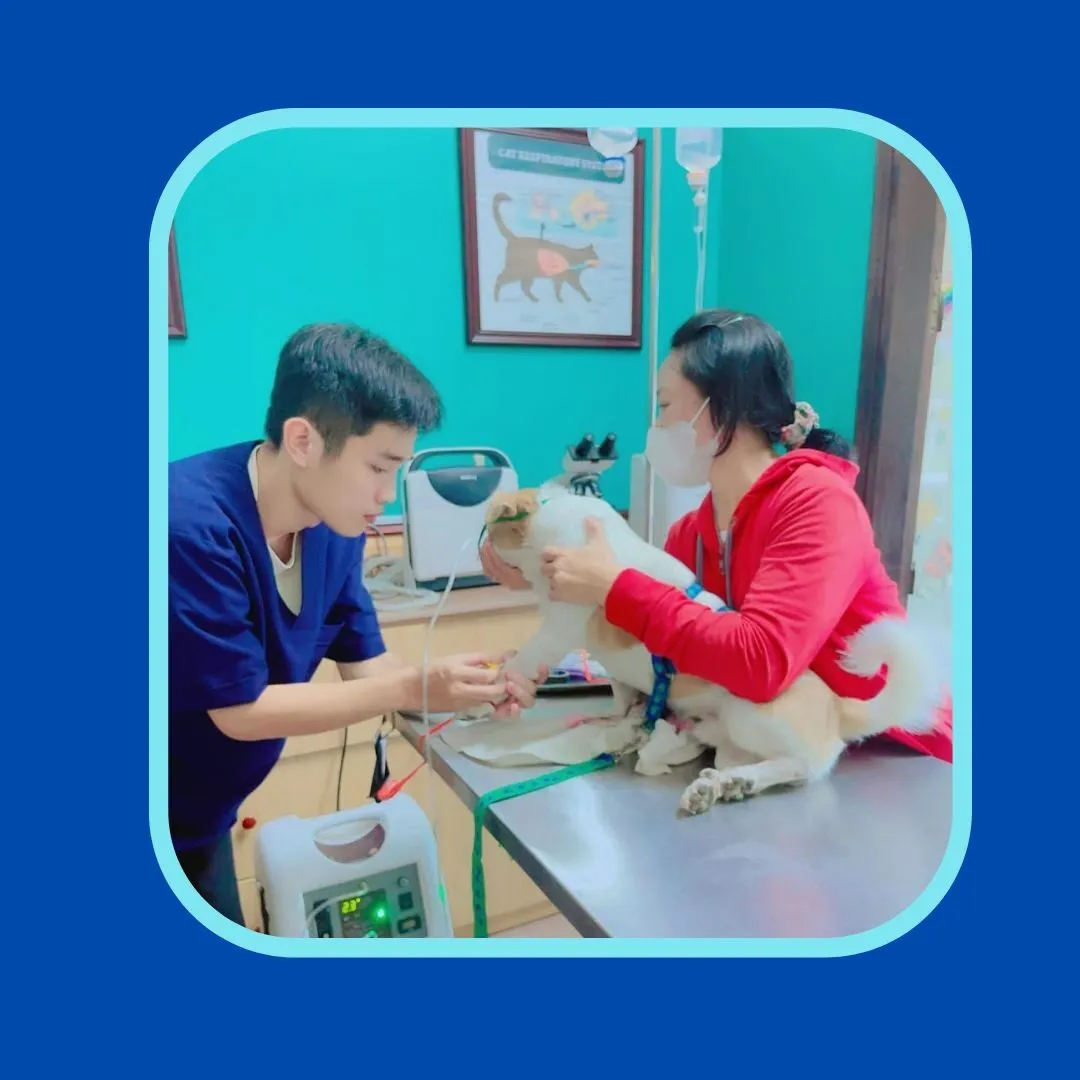 Phòng khám bác sĩ thú y Chung