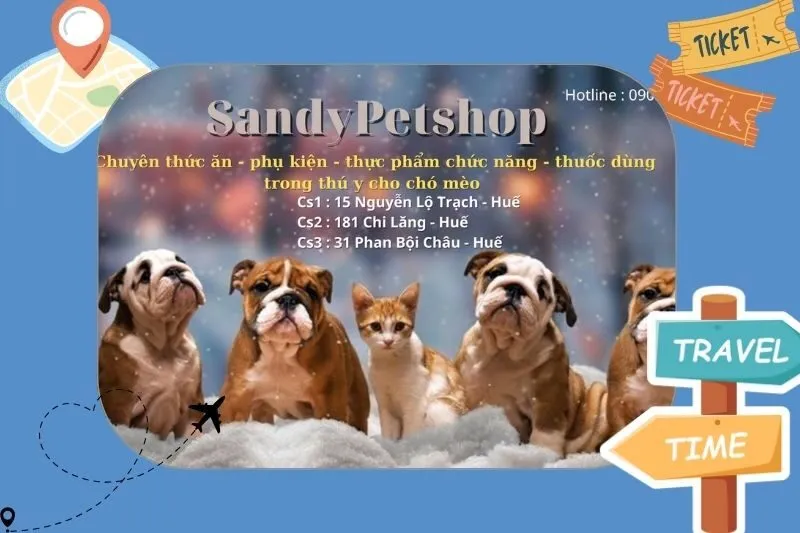 Sandy Petshop - Thế giới thú cưng Huế